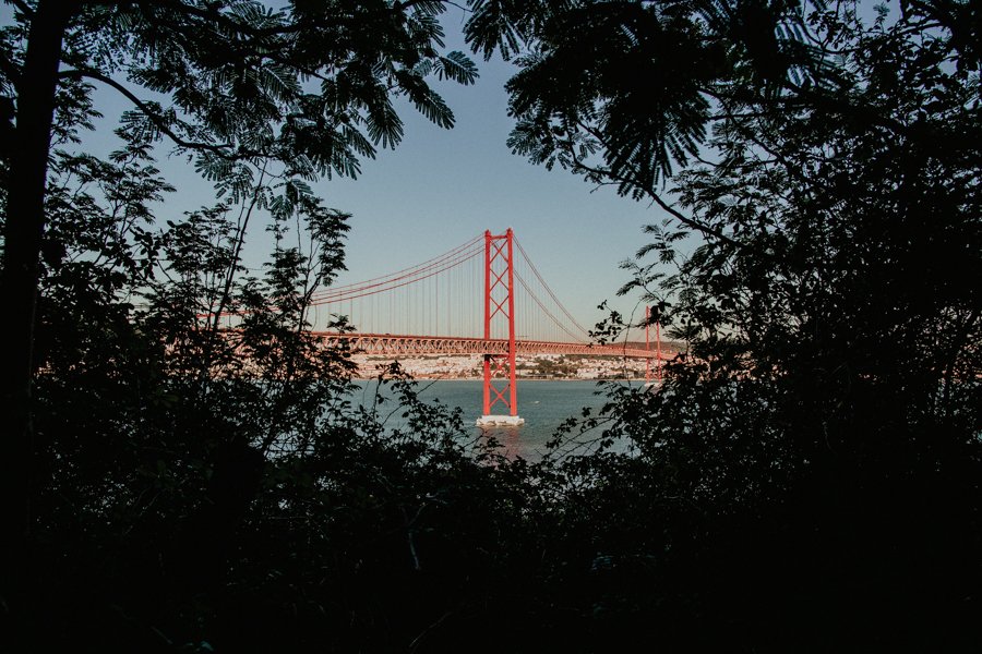 fotografo de bodas murcia